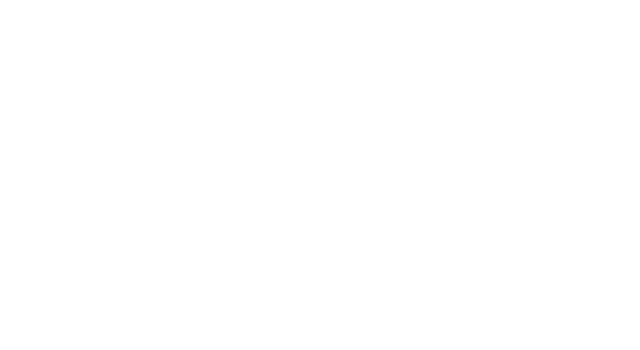 Carlix Profesional